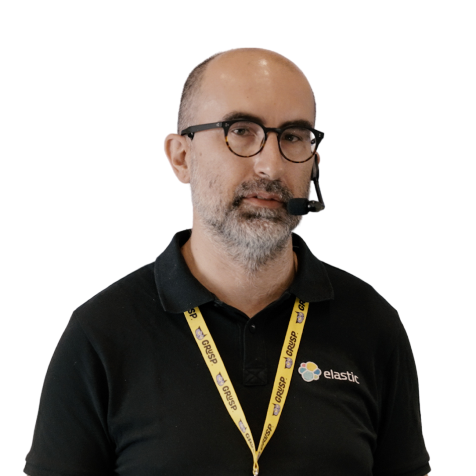 enrico zimuel